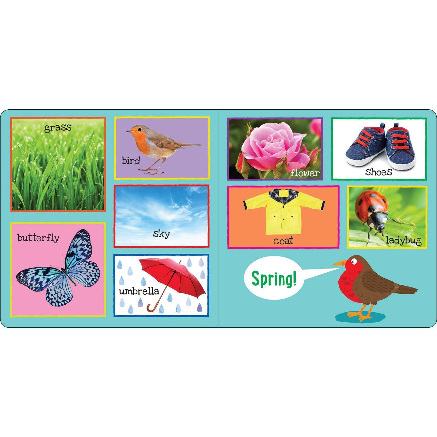 My First 101 Words Board Book